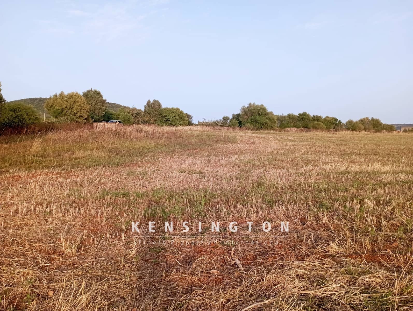 3 chambre Villa/Maison à vendre à Manacor - 320 000 € (Ref: 9164652)