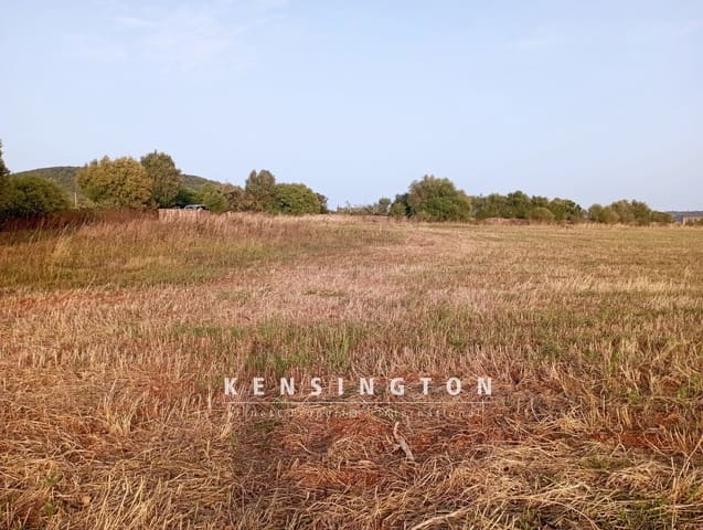 3 chambre Villa/Maison à vendre à Manacor - 320 000 € (Ref: 9164652)