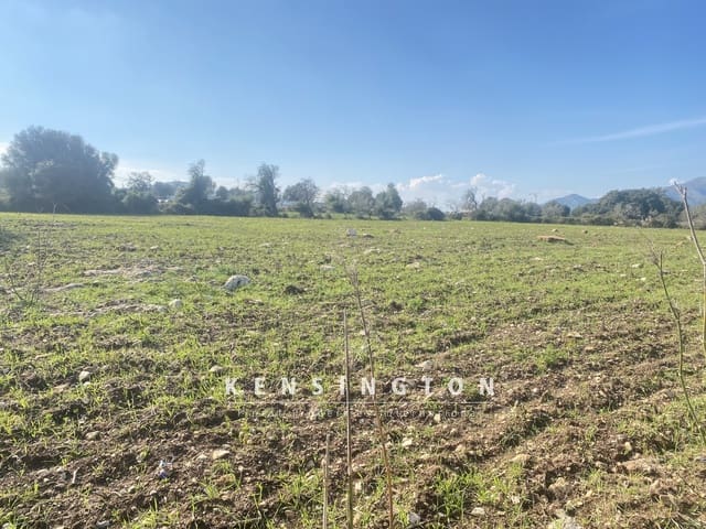 Undeveloped Land for sale in Artà - € 325,000 (Ref: 9164655)