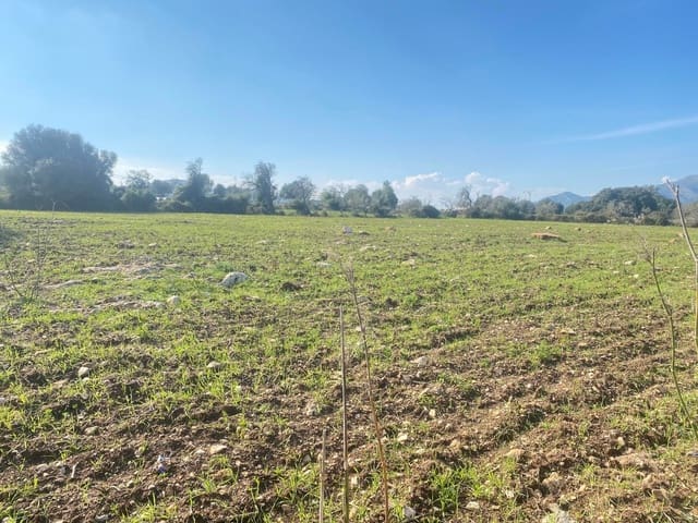 Terreno Non Edificato in vendita in Artà - 350.000 € (Rif: 9164655)