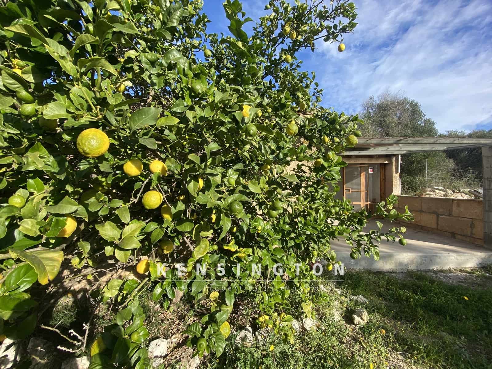 2 Zimmer Villa zu verkaufen in Capdepera mit Pool - 435.000 € (Ref: 9164657)