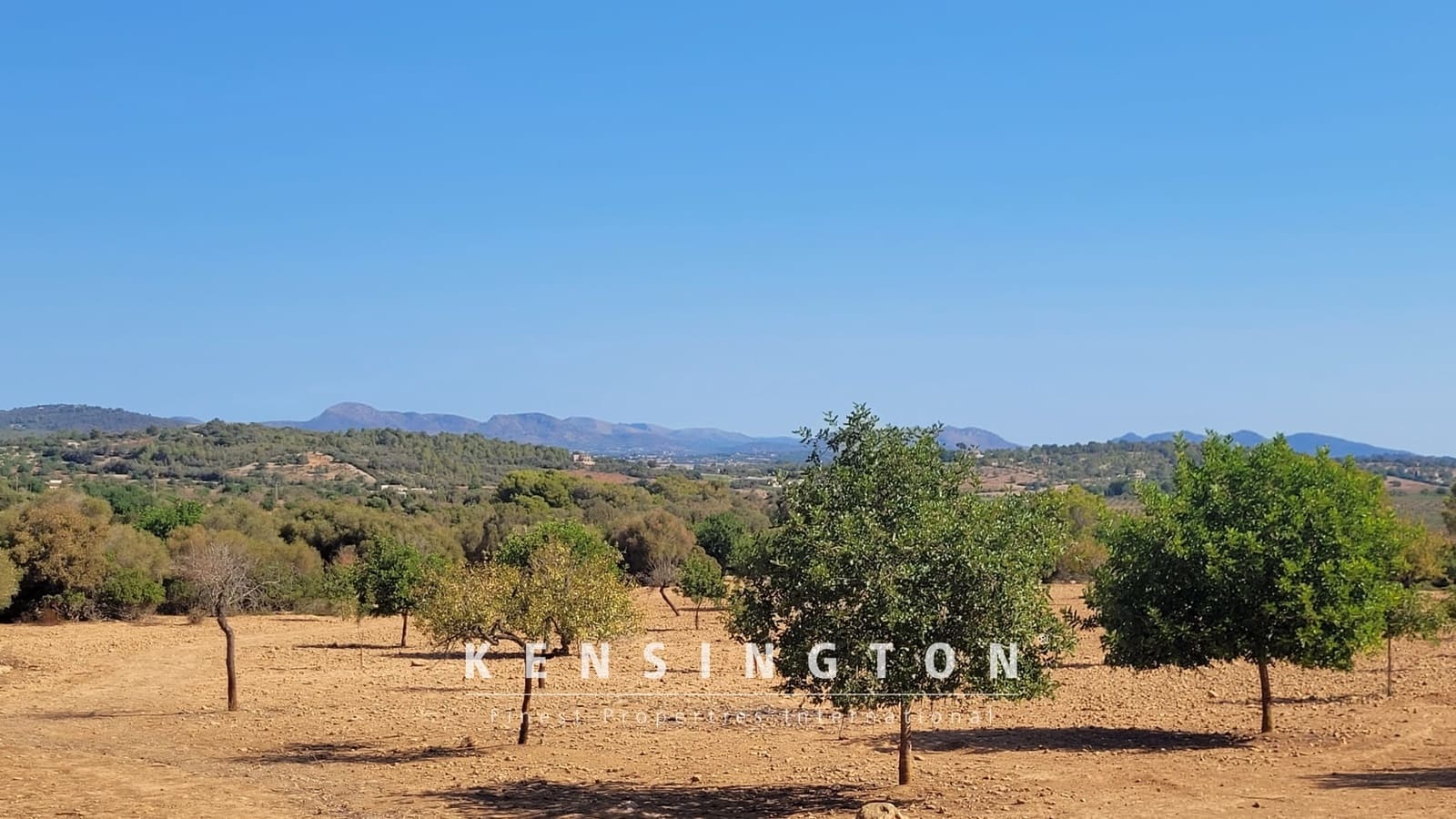 Grunde uden byggetilladelser til salg i Manacor - € 390.000 (Ref: 9164665)