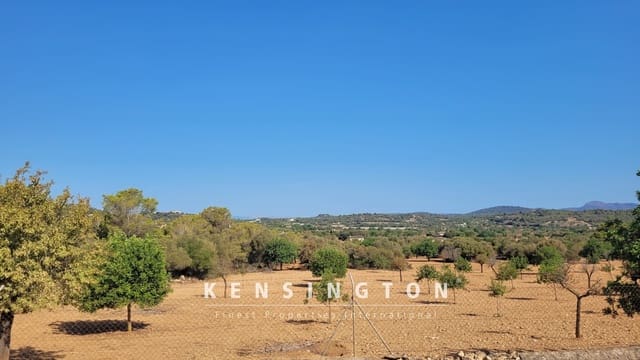 Undeveloped Land for sale in Manacor - € 390,000 (Ref: 9164665)