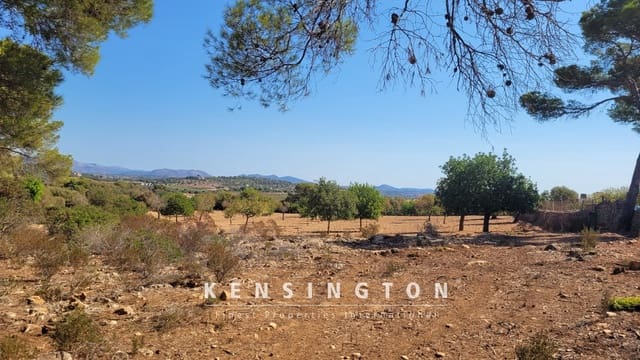 Undeveloped Land for sale in Manacor - € 390,000 (Ref: 9164665)