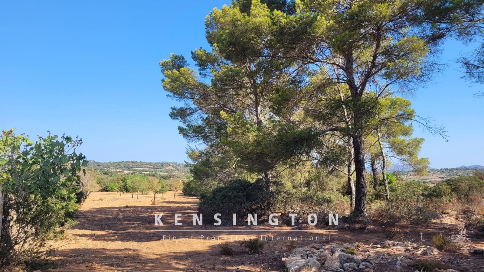 Grunde uden byggetilladelser til salg i Manacor - € 390.000 (Ref: 9164665)