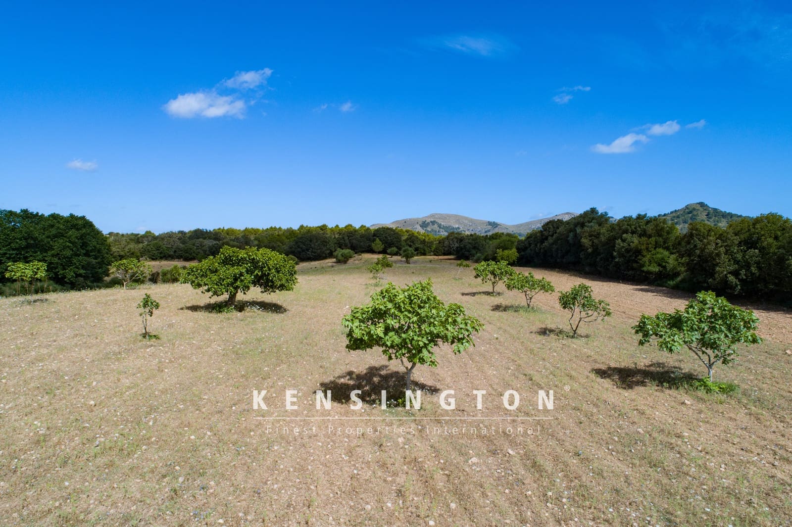 Terreno Non Edificato in vendita in Arta - 378.000 € (Rif: 9164667)