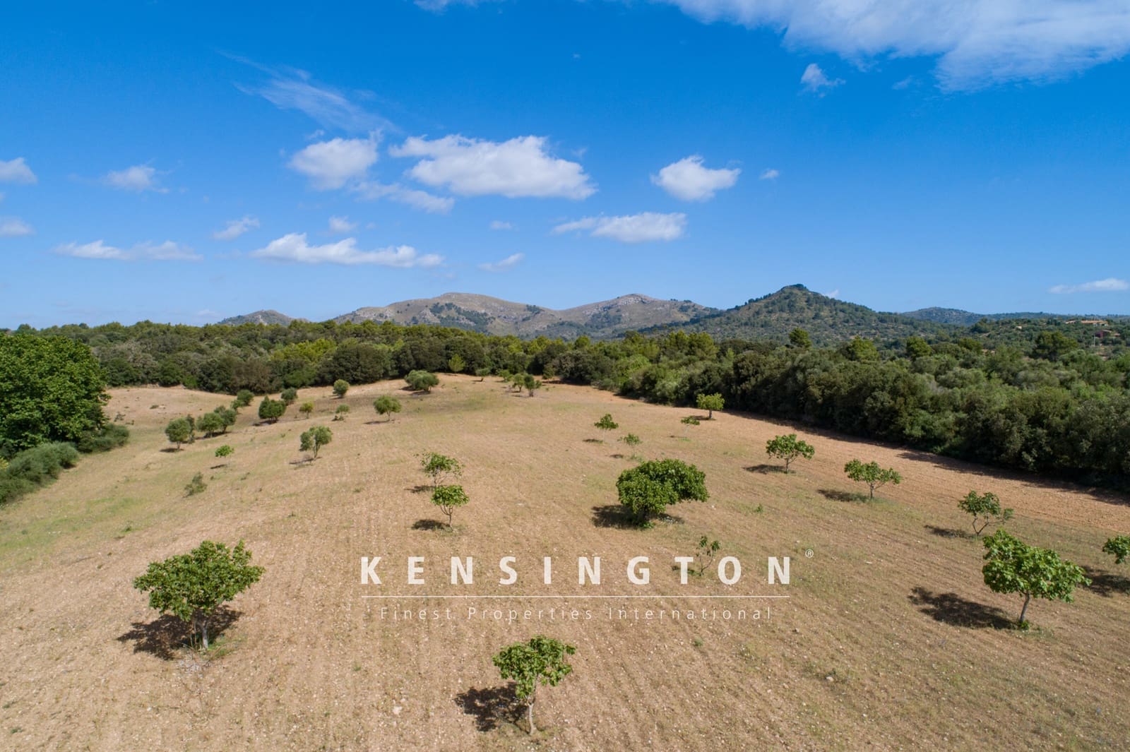 Terreno Non Edificato in vendita in Arta - 378.000 € (Rif: 9164667)