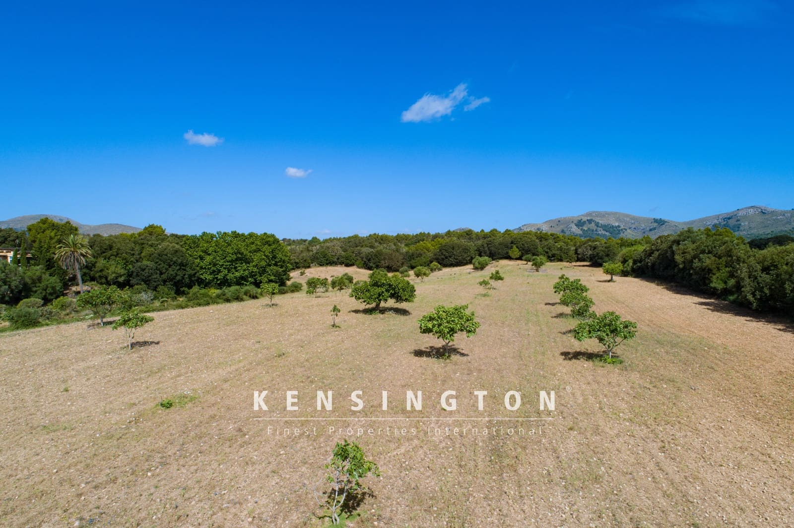 Terreno Non Edificato in vendita in Arta - 378.000 € (Rif: 9164667)