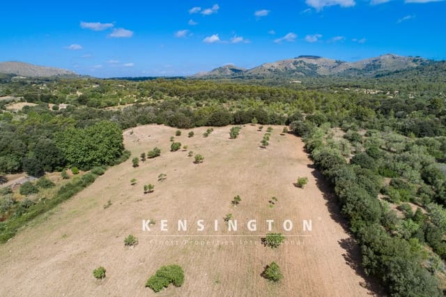 Undeveloped Land for sale in Artà - € 378,000 (Ref: 9164667)