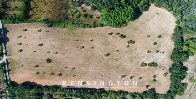 Undeveloped Land for sale in Artà - € 378,000 (Ref: 9164667)