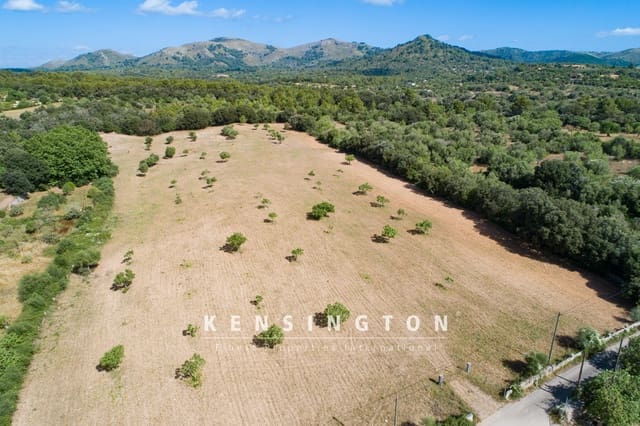 Undeveloped Land for sale in Artà - € 378,000 (Ref: 9164667)