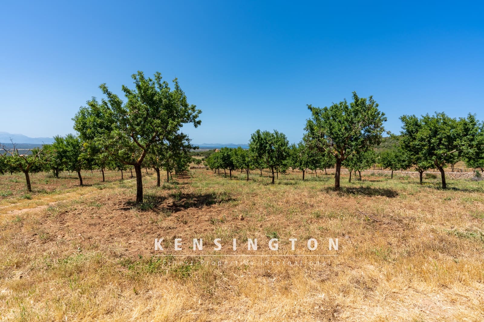 4 sypialnia Finka/Dom wiejski na sprzedaż w Arta - 5 500 000 € (Ref: 9164668)