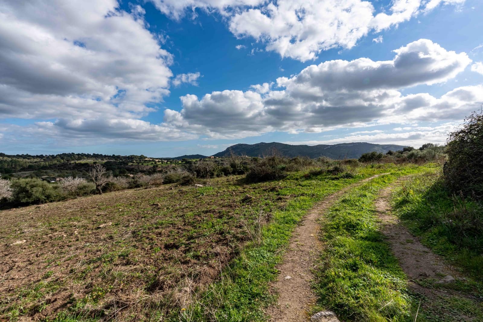 3 bedroom Finca/Country House for sale in Sant Llorenc des Cardassar - € 2,800,000 (Ref: 9164675)