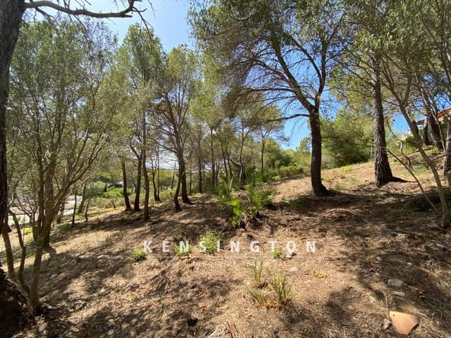 Mark till salu i Canyamel, Capdepera - 849 000 € (Ref: 9164680)