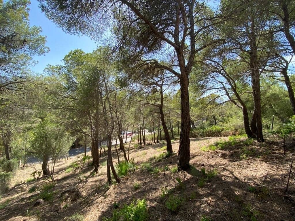 Teren niezagospodarowany na sprzedaż w Canyamel - 849 000 € (Ref: 9164680)