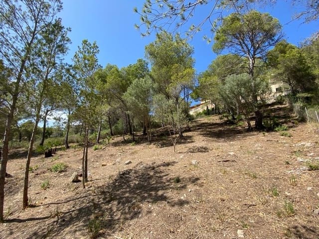 Ubebygd land til salgs i Canyamel, Capdepera - € 849 000 (Ref: 9164680)
