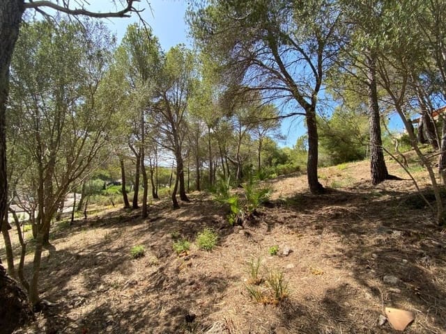Ubebygd land til salgs i Canyamel, Capdepera - € 849 000 (Ref: 9164680)