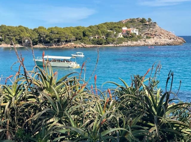 4 slaapkamer Villa te koop in Font de Sa Cala / Font de La Cala, Capdepera - € 1.975.000 (Ref: 9164684)