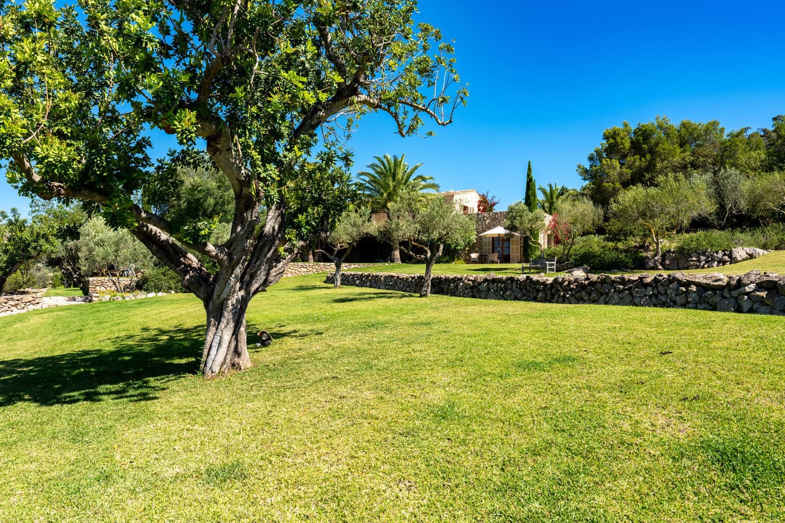 5 slaapkamer Finca/Landhuis te koop in Arta met zwembad - € 6.900.000 (Ref: 9164690)