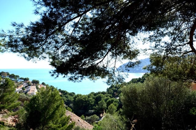 Undeveloped Land for sale in Canyamel, Capdepera - € 995,000 (Ref: 9164691)