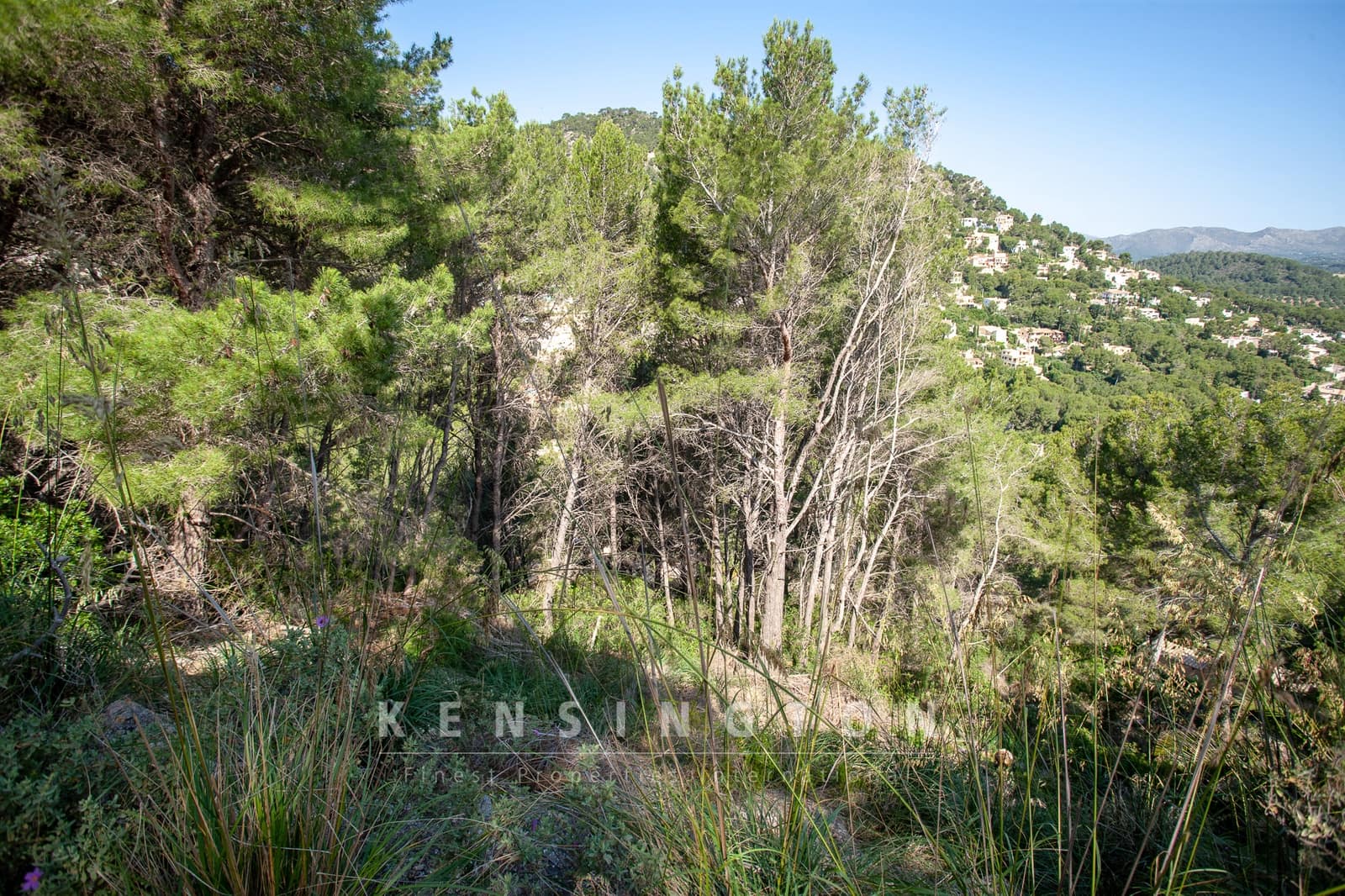Undeveloped Land for sale in Canyamel - € 150,000 (Ref: 9164692)
