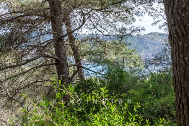 Terreno Não Urbanizado para venda em Canyamel, Capdepera - 150 000 € (Ref: 9164692)