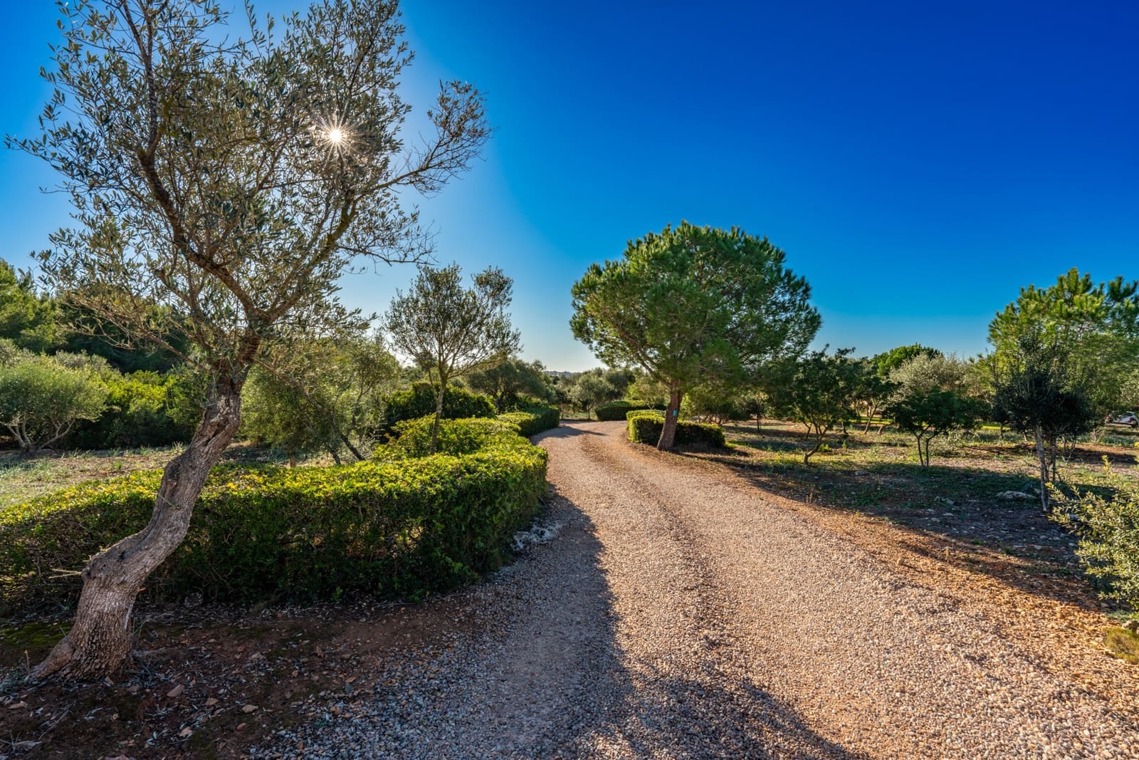 5 bedroom Finca/Country House for sale in Portocristo / Port de Manacor with pool - € 1,650,000 (Ref: 9164700)