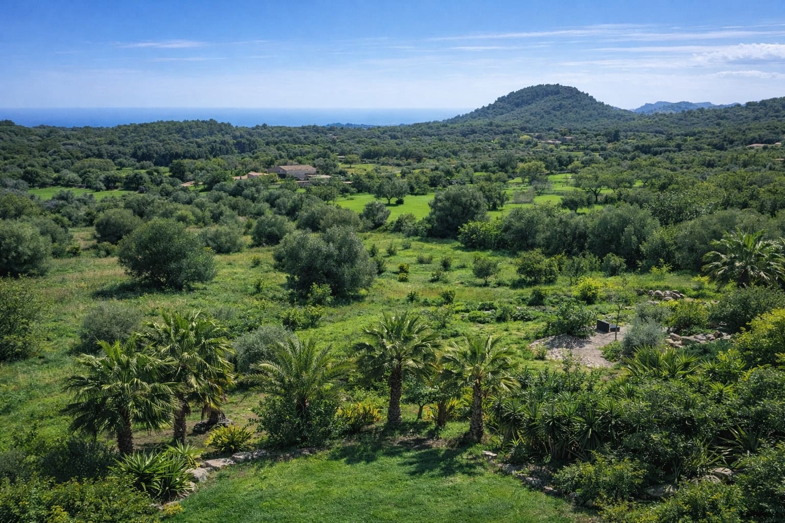 5 chambre Finca/Maison de Campagne à vendre à Arta avec piscine - 3 200 000 € (Ref: 9187510)