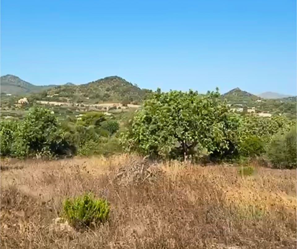 Grunde uden byggetilladelser til salg i Son Servera - € 850.000 (Ref: 9231871)