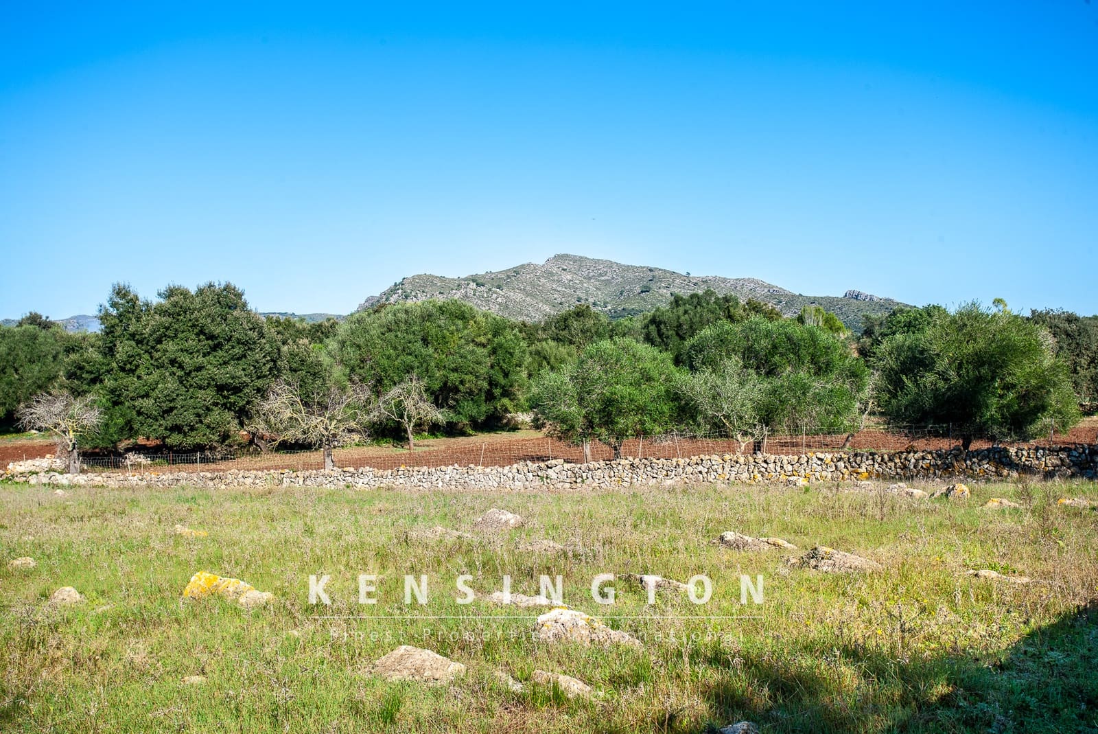 Undeveloped Land for sale in Arta - € 480,000 (Ref: 9231872)