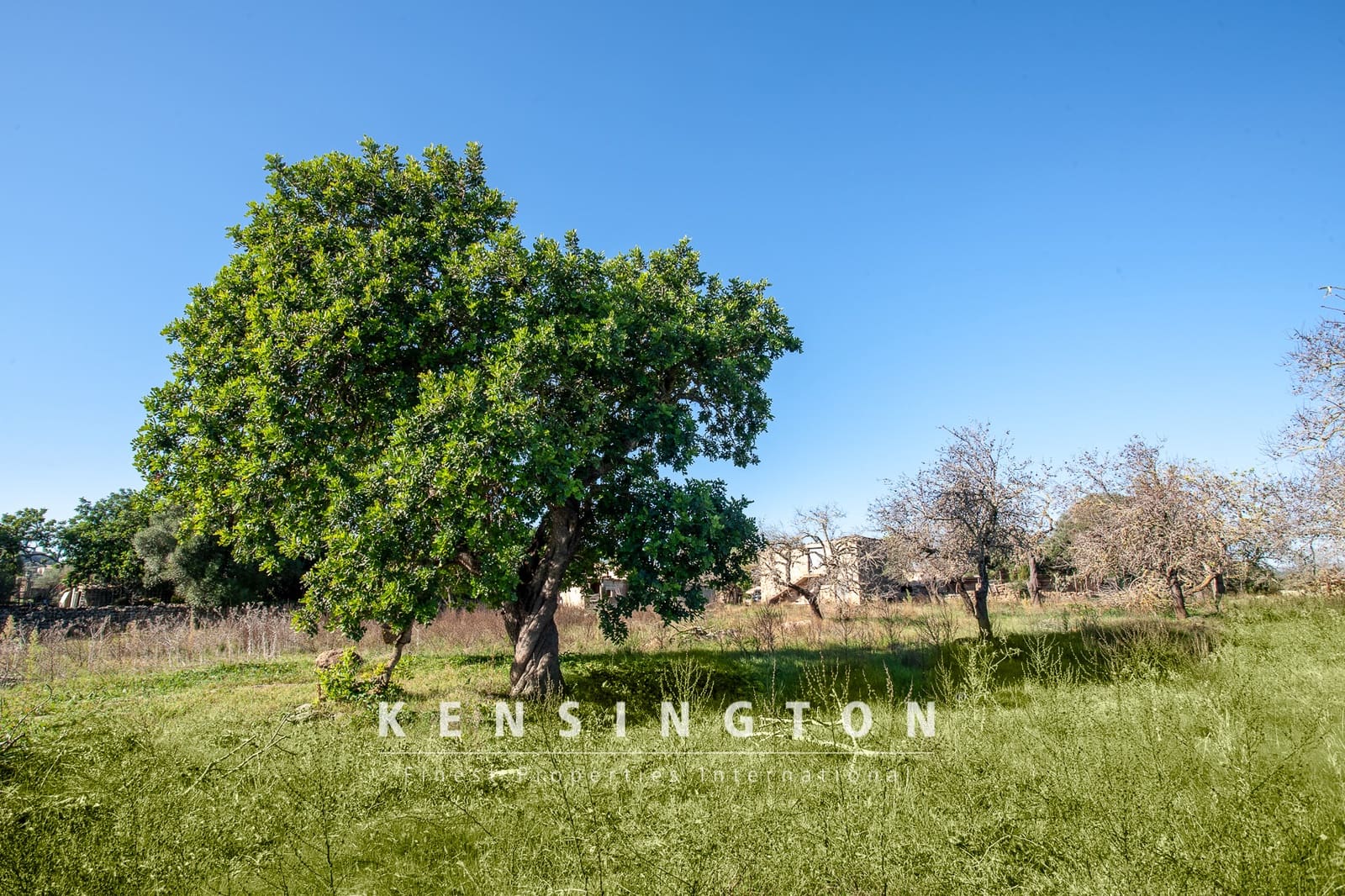 Undeveloped Land for sale in Arta - € 480,000 (Ref: 9231872)