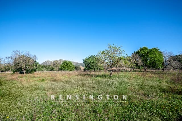 Undeveloped Land for sale in Artà - € 480,000 (Ref: 9231872)