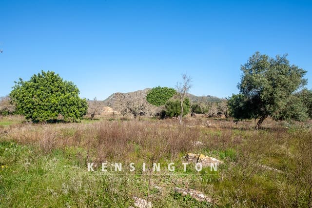 Undeveloped Land for sale in Artà - € 480,000 (Ref: 9231872)