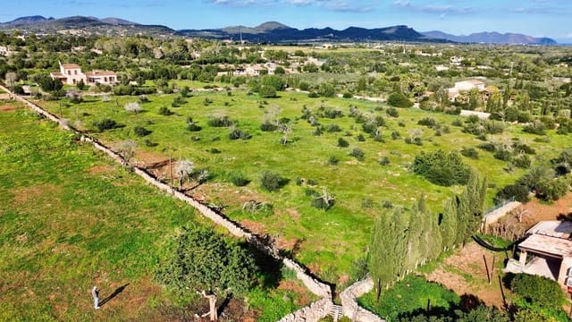 Mark till salu i Son Carrio, Sant Llorenç des Cardassar - 495 000 € (Ref: 9231873)