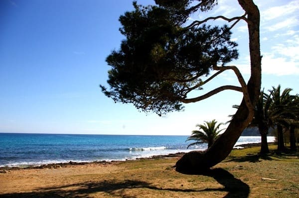 Mark till salu i Canyamel, Capdepera - 169 000 € (Ref: 9231875)