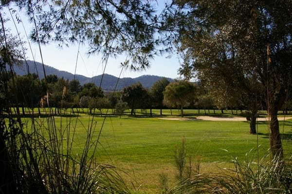 Mark till salu i Canyamel, Capdepera - 169 000 € (Ref: 9231875)