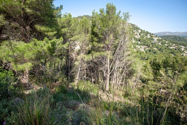Mark till salu i Canyamel, Capdepera - 150 000 € (Ref: 9235021)