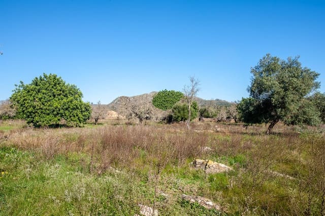 Grunde uden byggetilladelser til salg i Artà - € 480.000 (Ref: 9235022)