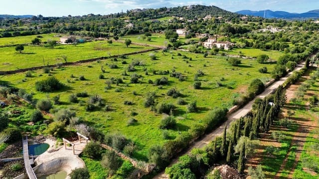 Mark till salu i Son Carrio, Sant Llorenç des Cardassar - 495 000 € (Ref: 9235023)