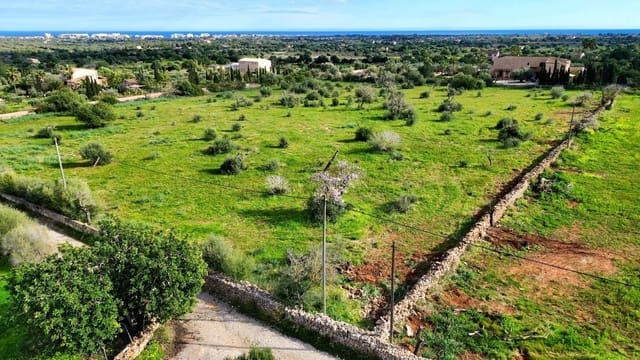 Mark till salu i Son Carrio, Sant Llorenç des Cardassar - 495 000 € (Ref: 9235023)