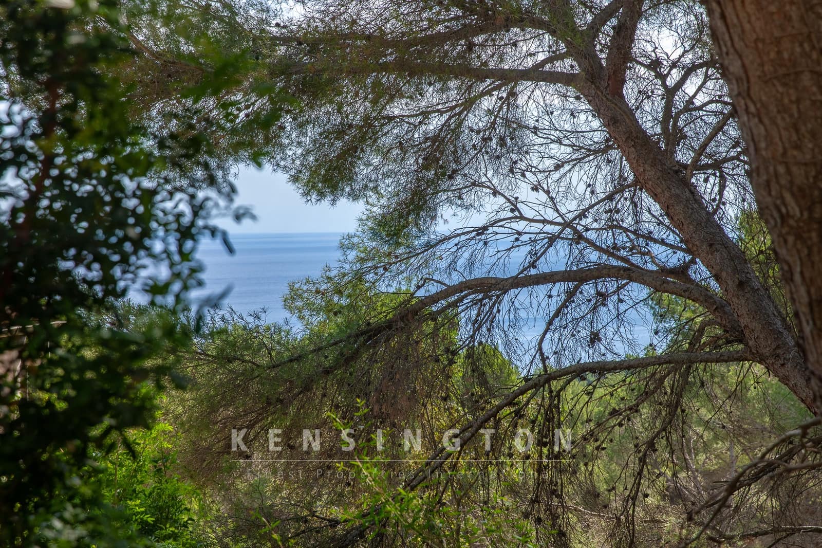 Undeveloped Land for sale in Canyamel - € 180,000 (Ref: 9235025)