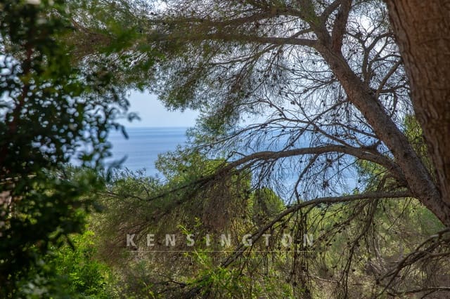 Undeveloped Land for sale in Canyamel, Capdepera - € 180,000 (Ref: 9235025)