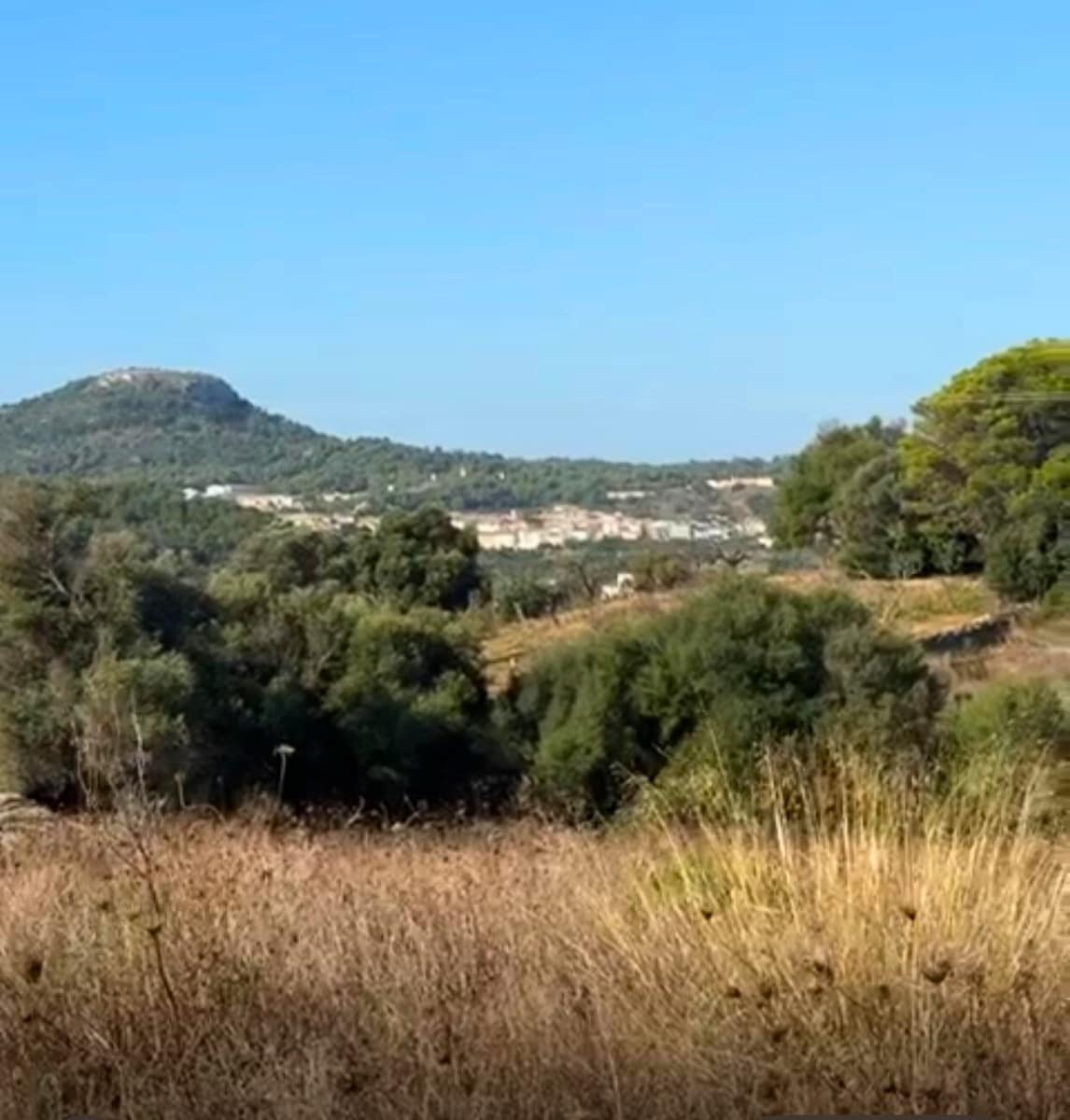 Grunde uden byggetilladelser til salg i Son Servera - € 850.000 (Ref: 9235026)