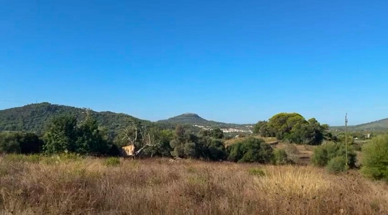 Grunde uden byggetilladelser til salg i Son Servera - € 850.000 (Ref: 9235026)