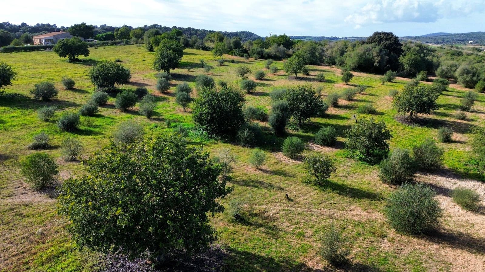 Grunde uden byggetilladelser til salg i Sant Llorenc des Cardassar - € 285.000 (Ref: 9542122)