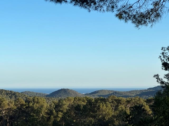 4 slaapkamer Finca/Landhuis te koop in Manacor met zwembad - € 4.950.000 (Ref: 9544120)