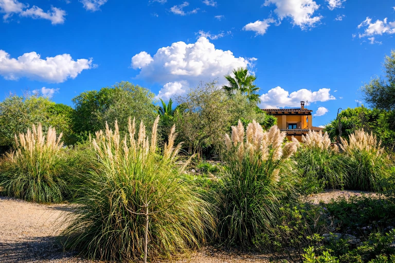 Finca/Casa Rural de 4 habitaciones en Manacor en venta con piscina - 1.290.000 € (Ref: 9605274)