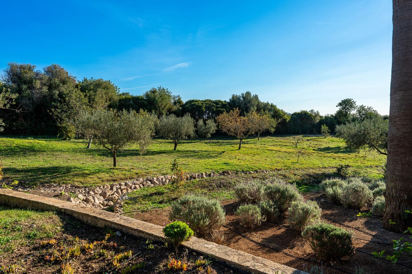 3 bedroom Finca/Country House for sale in Son Servera with pool - € 1,850,000 (Ref: 9657837)