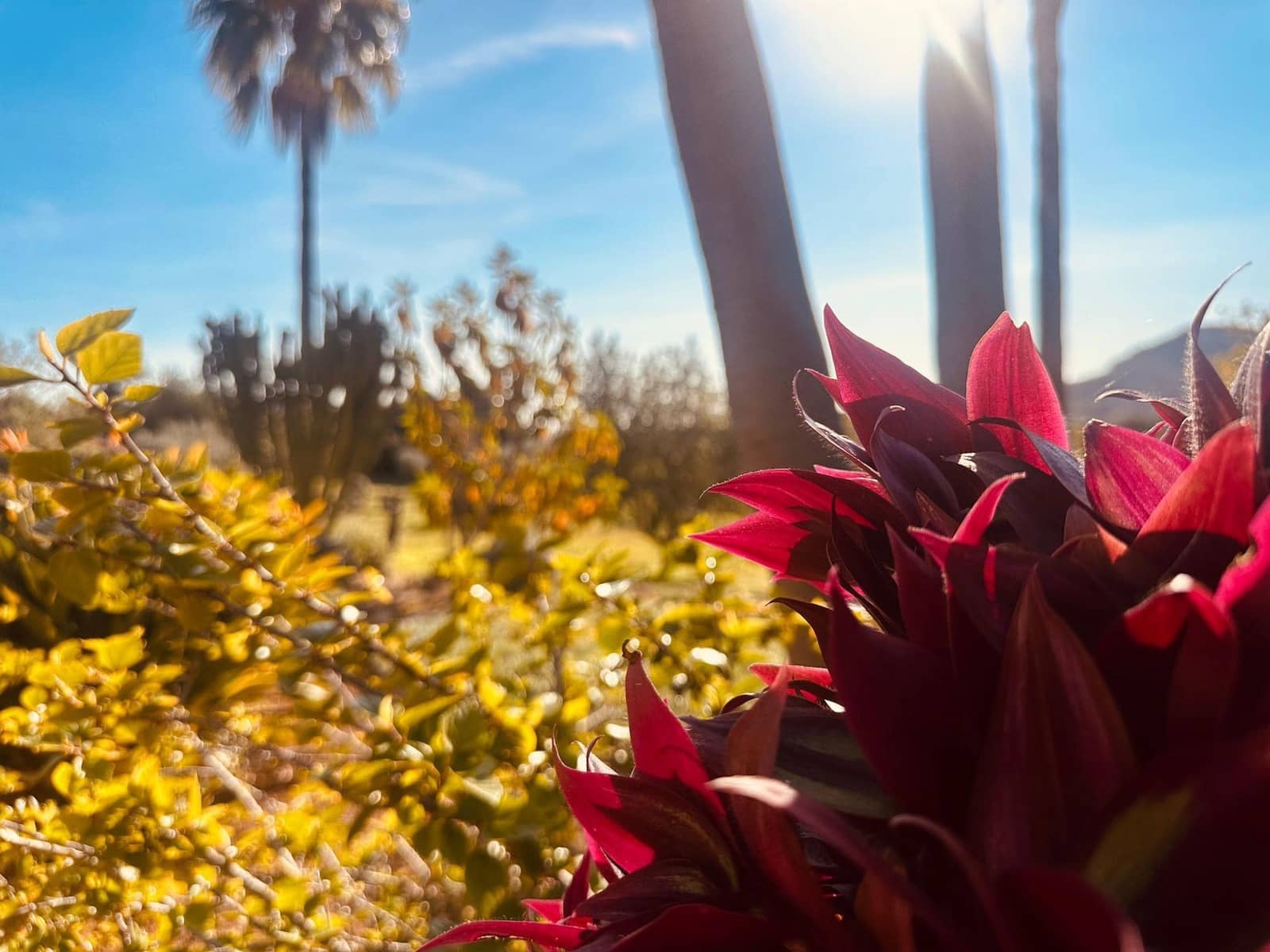 3 bedroom Finca/Country House for sale in Son Servera with pool - € 1,850,000 (Ref: 9657837)