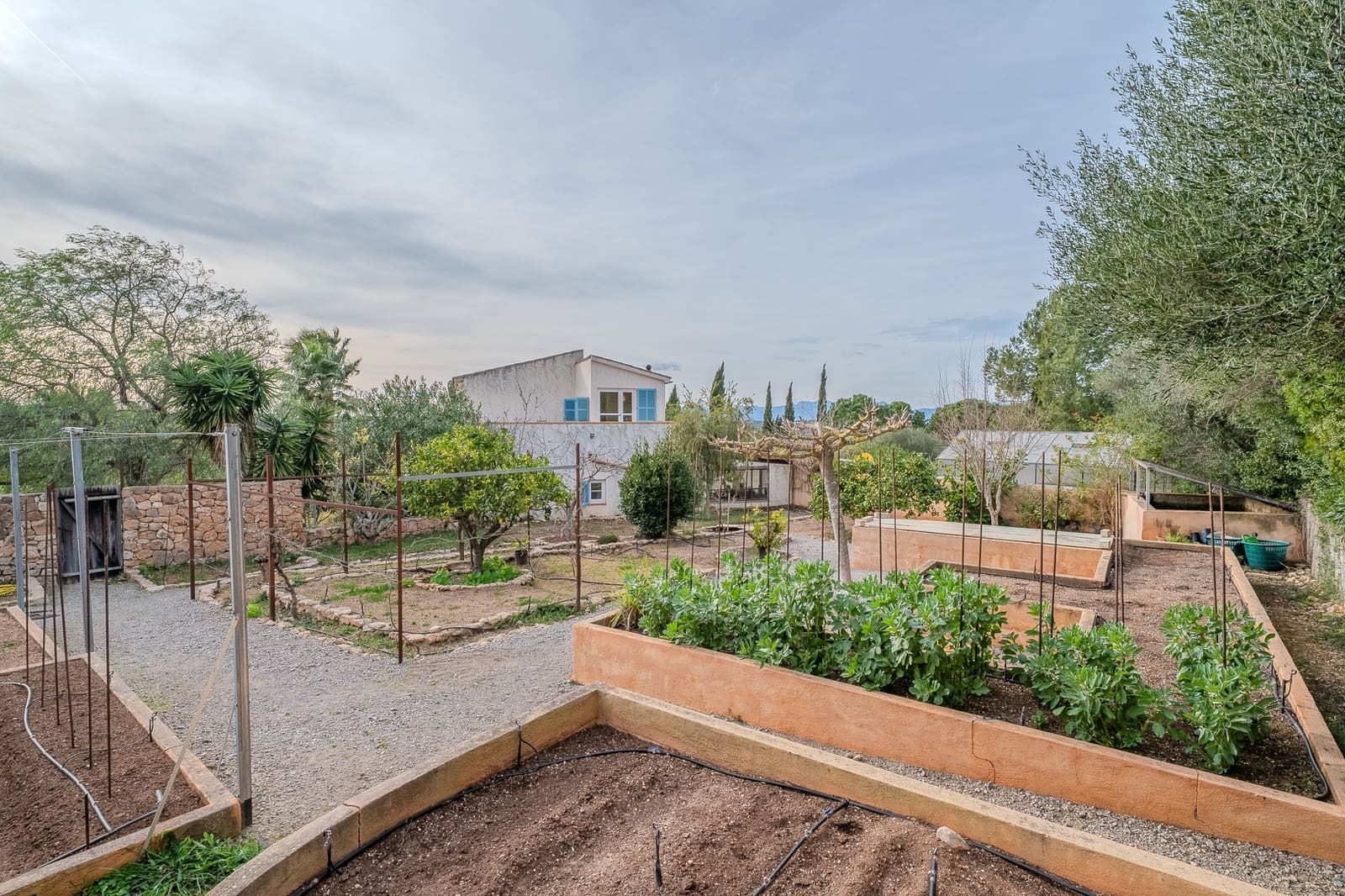 5 bedroom Finca/Country House for sale in Manacor with pool - € 1,950,000 (Ref: 9932321)